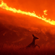 A deer flees flames as the Quail Fire burns near Winters, California on Saturday.